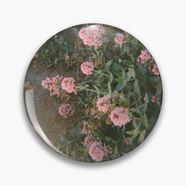 Item preview, Allora flowers on 35mm film designed and sold by Dominique Tassell.