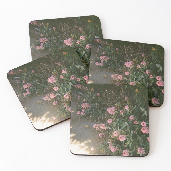Item preview, Allora flowers on 35mm film designed and sold by Dominique Tassell.