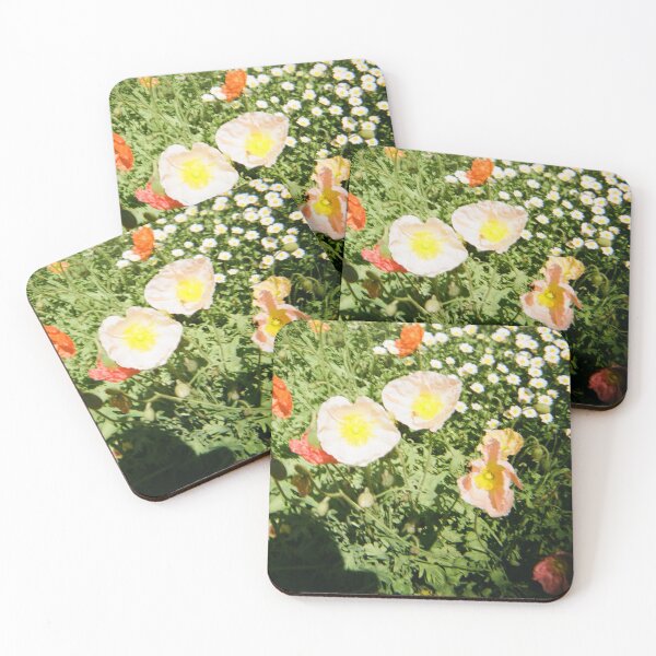 Item preview, Carnival of Flowers 35mm film photography designed and sold by Dominique Tassell.