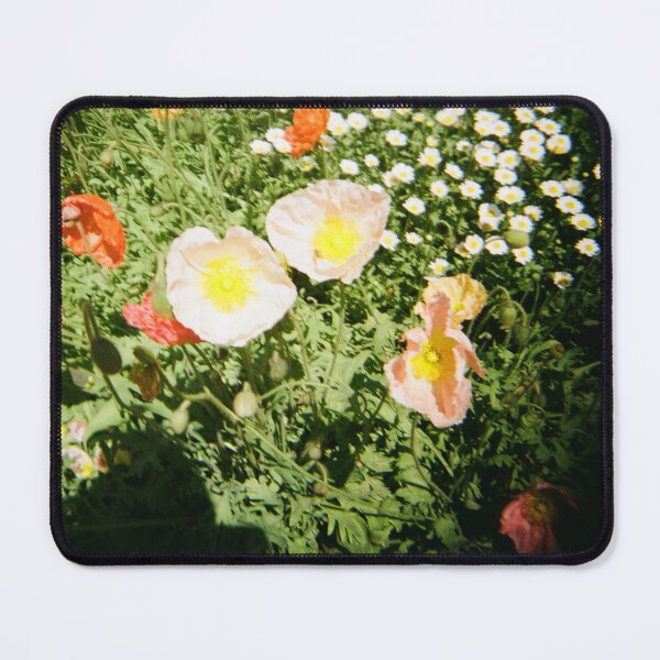 Item preview, Carnival of Flowers 35mm film photography designed and sold by Dominique Tassell.