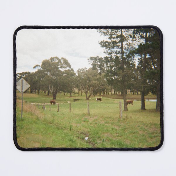 Item preview, Cows on 35mm film designed and sold by Dominique Tassell.