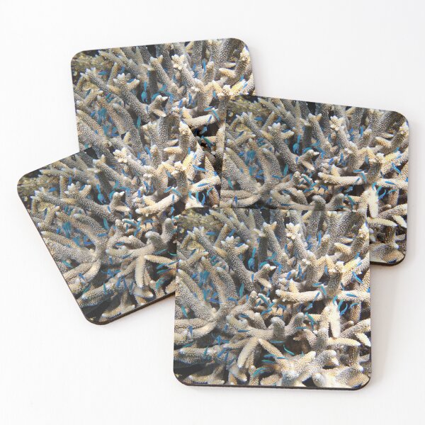 Item preview, Blue Fish in Coral designed and sold by Eliza-Grace.
