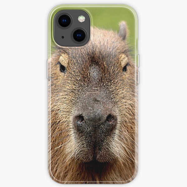Portrait of a rather handsome capybara iPhone Soft Case