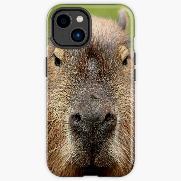 Portrait of a rather handsome capybara iPhone Tough Case