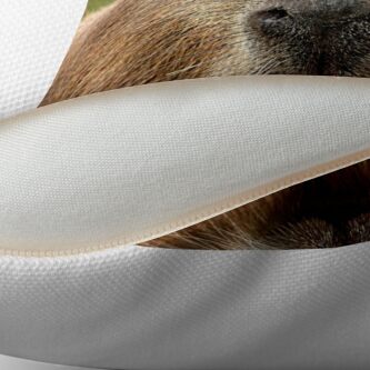 pillow pets capybara