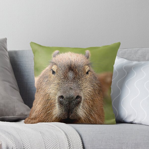 Item preview, Portrait of a rather handsome capybara designed and sold by Ladymoose.