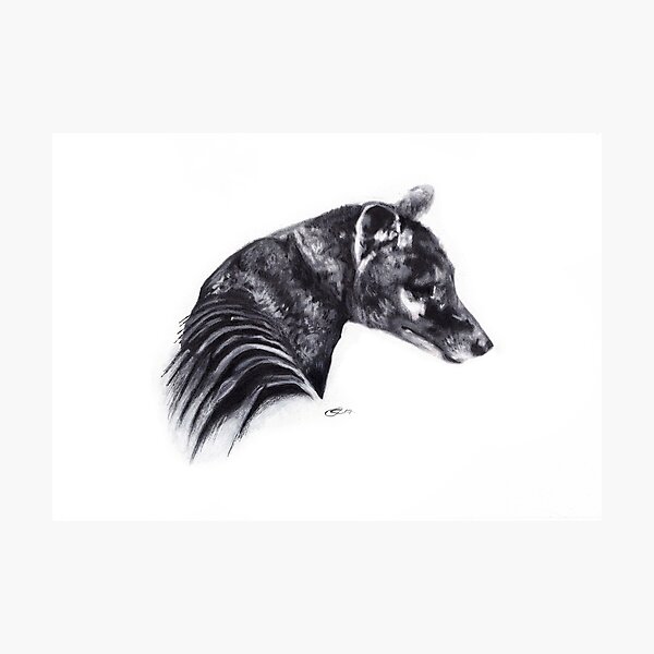 Corinna Thylacine Photographic Print