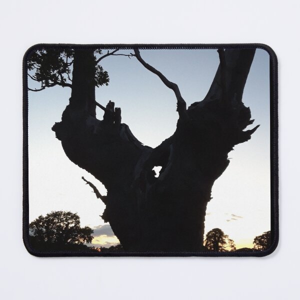 Item preview, Old Tree designed and sold by amanda150771.