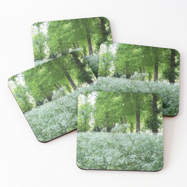 Item preview, Queen Anne's Lace designed and sold by amanda150771.