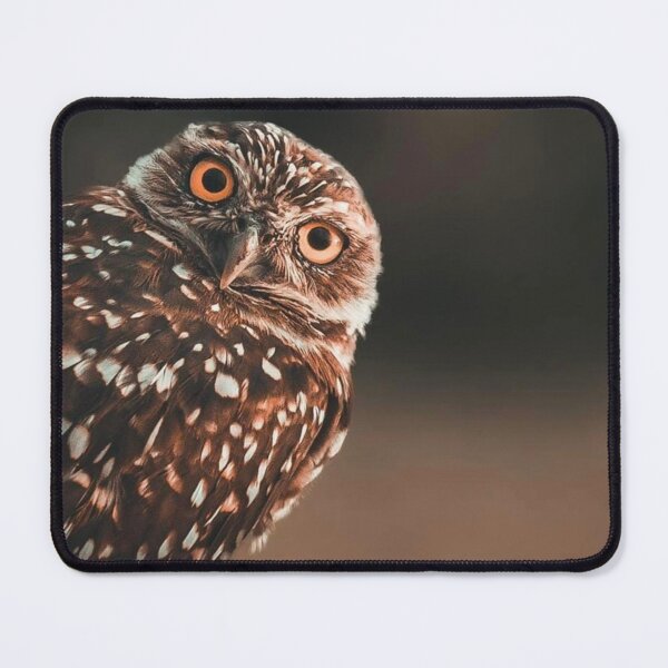 Item preview, Bird Night Owl designed and sold by FloranceR.