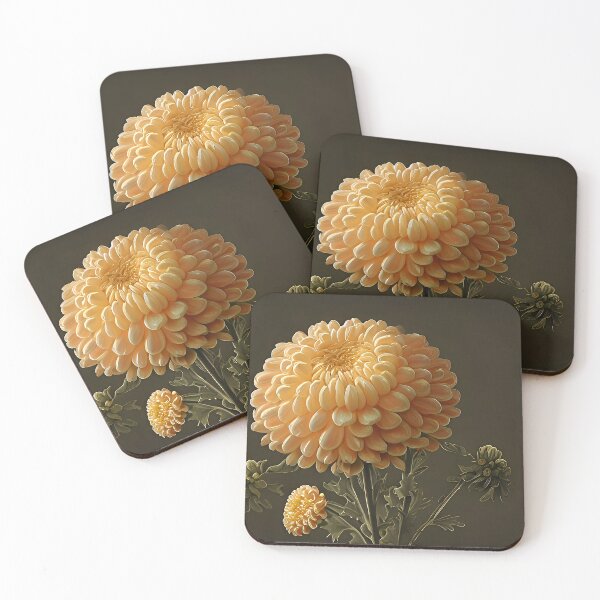 Artikelvorschau, Chrysantheme Morifolium entworfen und verkauft von philozei.