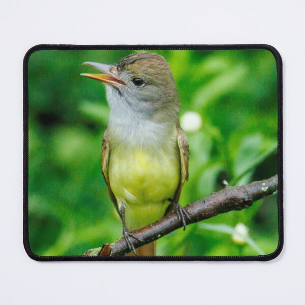 Item preview, great crested fly catcher designed and sold by FlyingLilly.