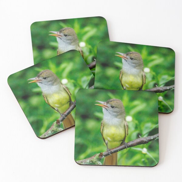 Item preview, great crested fly catcher designed and sold by FlyingLilly.