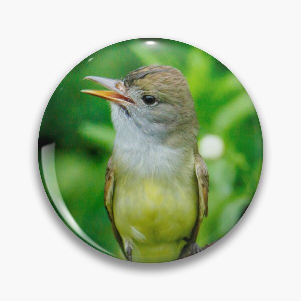 Item preview, great crested fly catcher designed and sold by FlyingLilly.