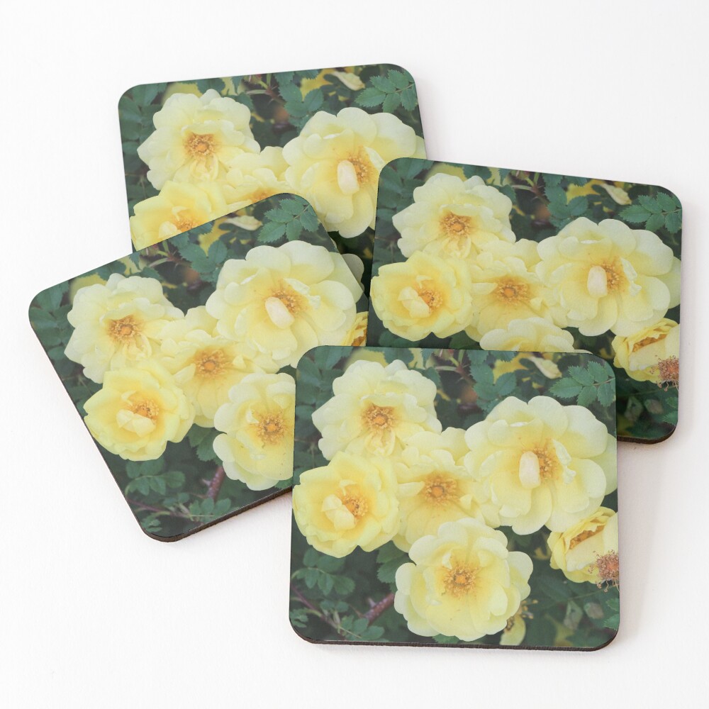 Item preview, Coasters (Set of 4) designed and sold by rbailsjeffrey.