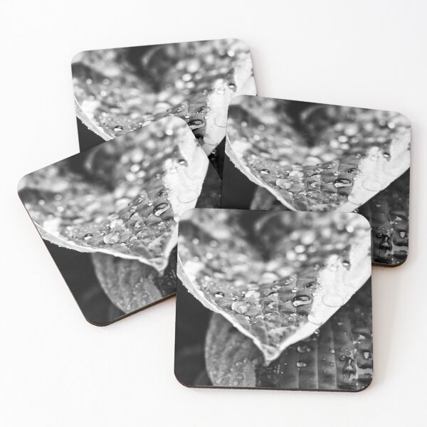 Item preview, Spring Hostas #3 designed and sold by Rachel Jeffrey.