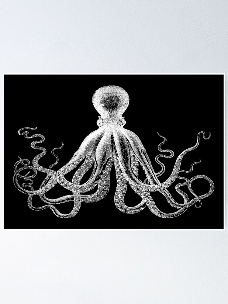 Alternative Ansicht von Krake | Weinlese-Krake | Tentakeln | Meeresbewohner | Nautik | Ozean | Meer | Strand | Schwarz und weiß | Poster