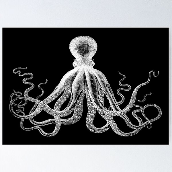 Octopus | Vintage Octopus | Tentacles | Sea Creatures | Nautical | Ocean | Sea | Beach | Black and White | Poster