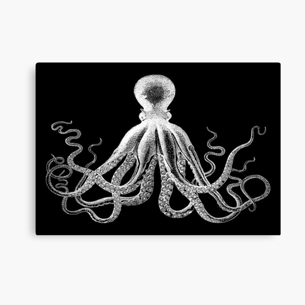 Octopus | Vintage Octopus | Tentacles | Sea Creatures | Nautical | Ocean | Sea | Beach | Black and White | Canvas Print