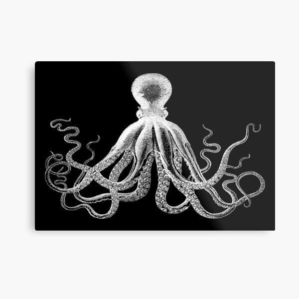 Octopus | Vintage Octopus | Tentacles | Sea Creatures | Nautical | Ocean | Sea | Beach | Black and White | Metal Print