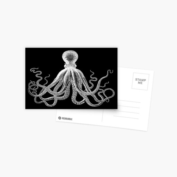 Octopus | Vintage Octopus | Tentacles | Sea Creatures | Nautical | Ocean | Sea | Beach | Black and White | Postcard