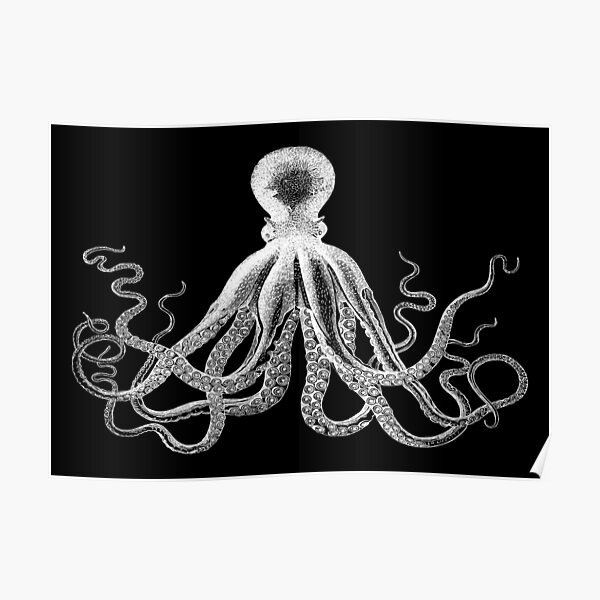 Octopus | Vintage Octopus | Tentacles | Sea Creatures | Nautical | Ocean | Sea | Beach | Black and White | Poster