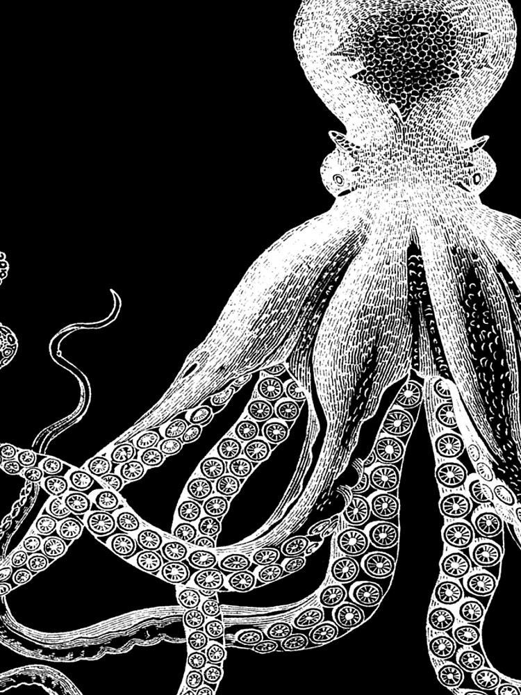 Octopus | Vintage Octopus | Tentacles | Sea Creatures | Nautical | Ocean | Sea | Beach | Black and White | by EclecticAtHeART