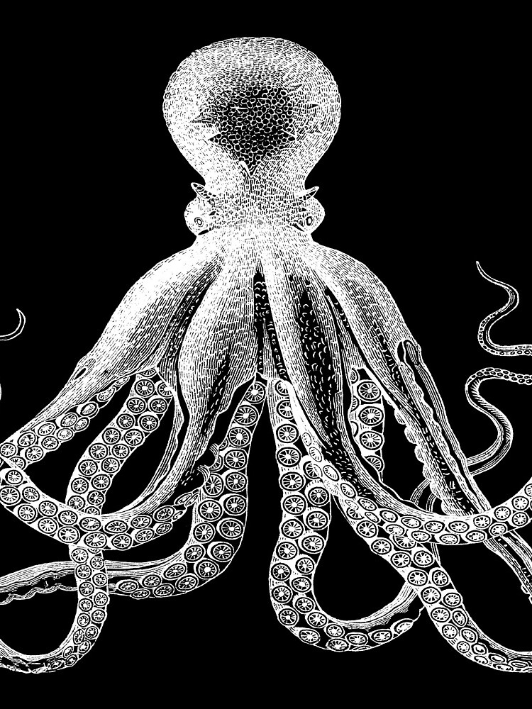 Octopus | Vintage Octopus | Tentacles | Sea Creatures | Nautical | Ocean | Sea | Beach | Black and White | by EclecticAtHeART