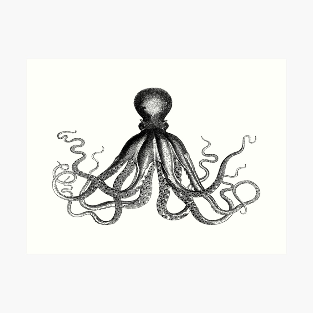 Octopus | Vintage Octopus | Tentacles | Sea Creatures | Nautical | Ocean | Sea | Beach | Black and White | Art Print