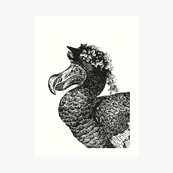 Mrs Dodo | Vintage Dodos | Black and White | Art Print