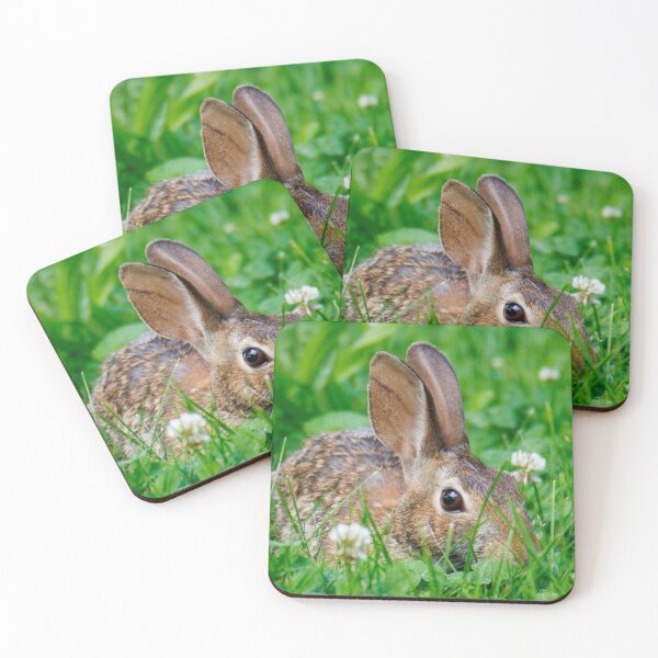 Item preview, Bunny designed and sold by FlyingLilly.