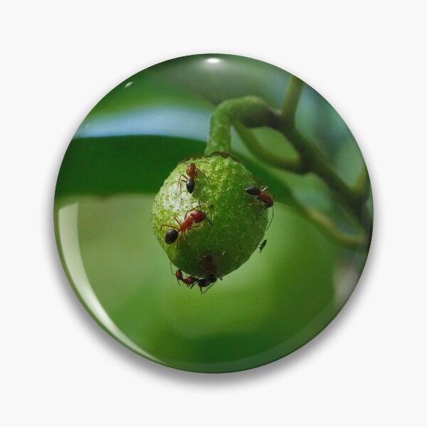 Item preview, The Green Ball of Sweet Goodness designed and sold by Dead-Moroz.