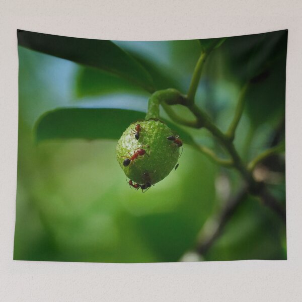 Item preview, The Green Ball of Sweet Goodness designed and sold by Dead-Moroz.