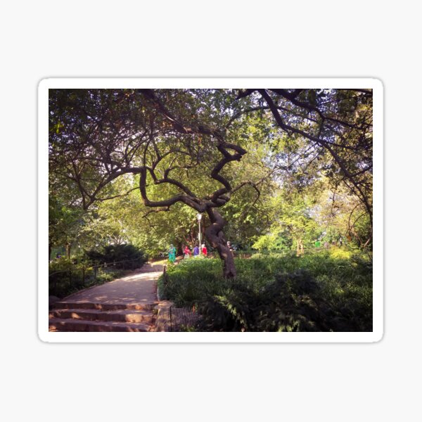 Item preview, Central Park Nature Trees Green Manhattan New York City  designed and sold by eleonoraingrid.