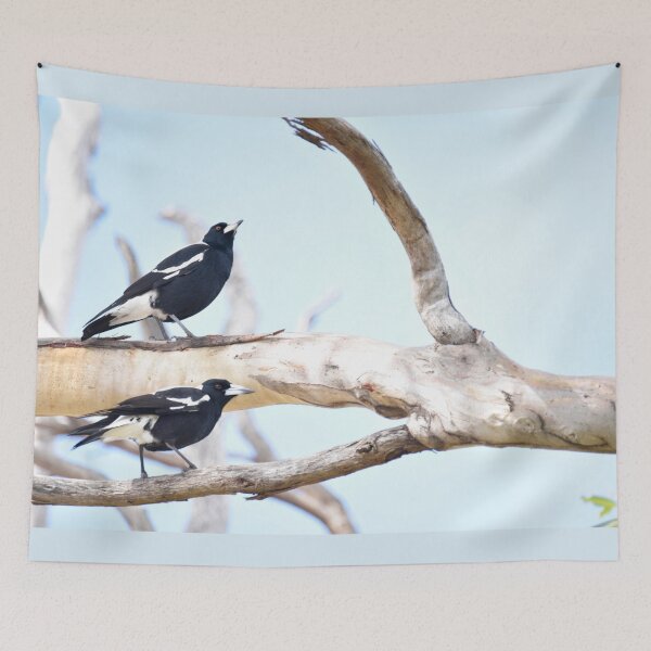 Item preview, Two Magpies warbling on Kangaroo Island designed and sold by imaginethis.