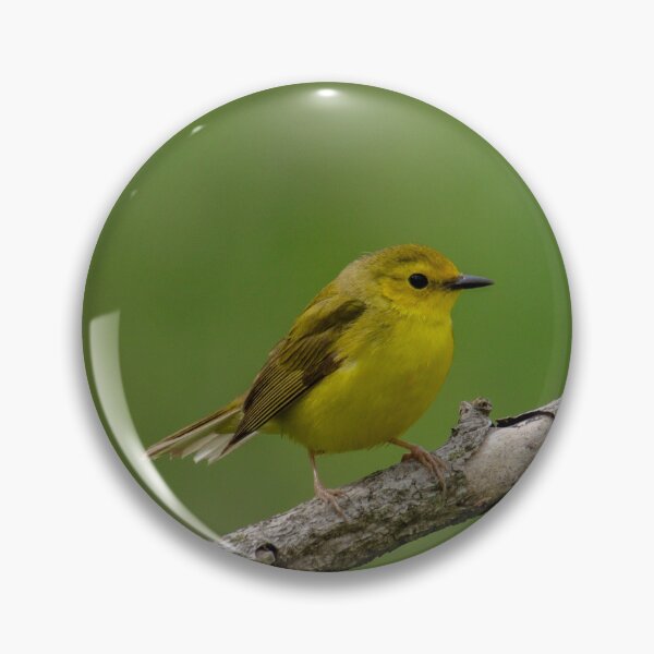 Item preview, Hooded warbler designed and sold by FlyingLilly.