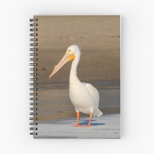 Item preview, white pelican designed and sold by FlyingLilly.