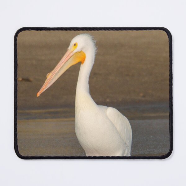 Item preview, white pelican designed and sold by FlyingLilly.
