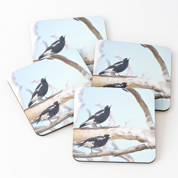 Item preview, Two Magpies warbling on Kangaroo Island designed and sold by imaginethis.