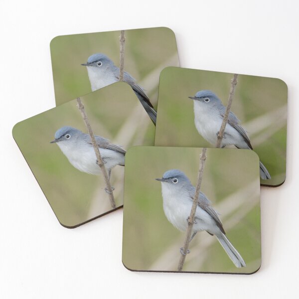 Item preview, Grey blue gnatcatcher designed and sold by FlyingLilly.