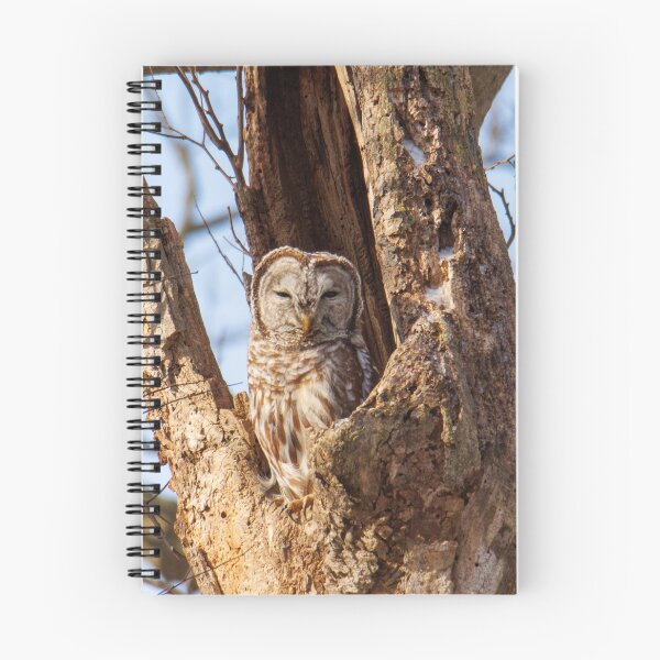 Artikelvorschau, Barred Owl entworfen und verkauft von FlyingLilly.
