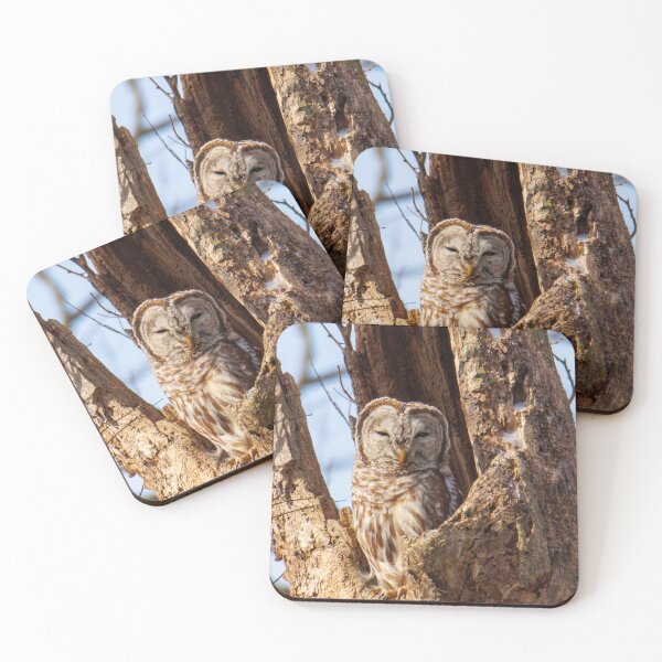 Item preview, Barred Owl designed and sold by FlyingLilly.