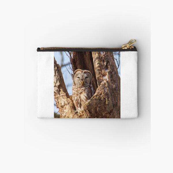 Item preview, Barred Owl designed and sold by FlyingLilly.