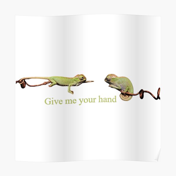 CHAMELEON Poster