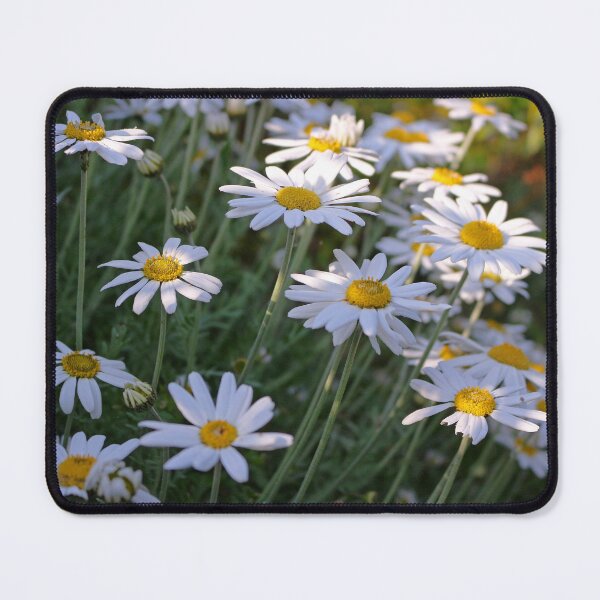 Item preview, Big Daisy Flowers designed and sold by pinkal.