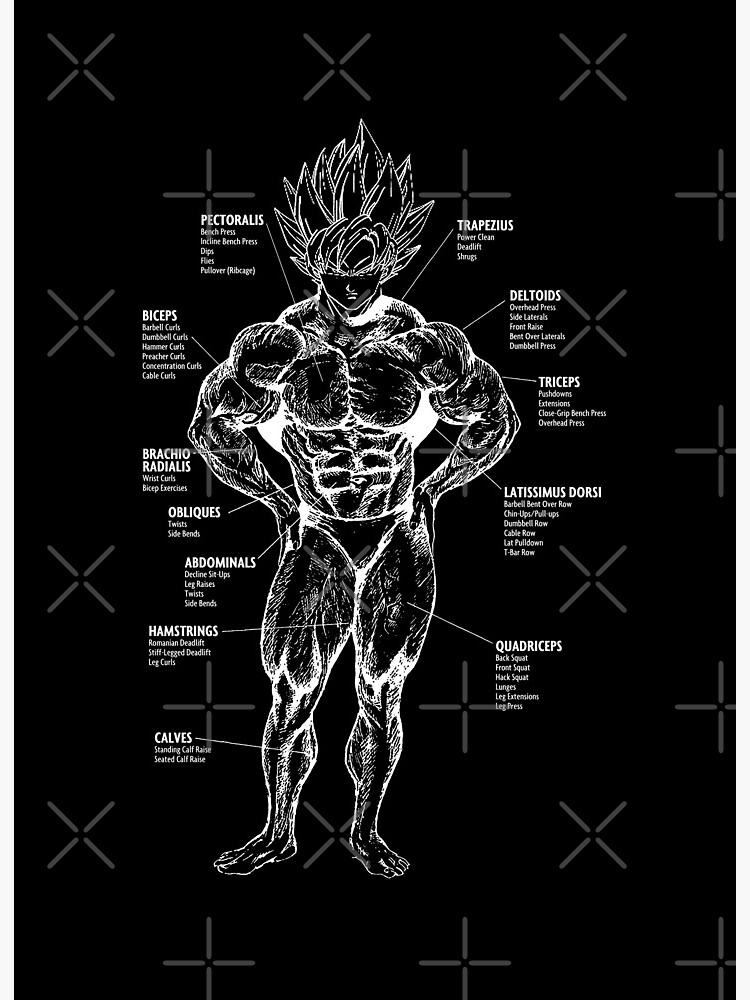 The Unofficial Sports Themed Anime Workout Booklet – Superhero Jacked-demhanvico.com.vn