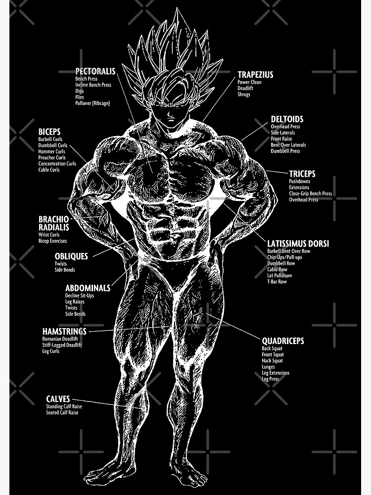 Disover Goku Muscle Chart Anatomy Diagram - Anime Workout Premium Matte Vertical Poster