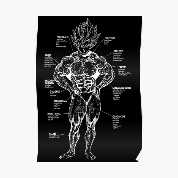 "Goku Muscle Chart Anatomy Diagram Anime Workout" Poster for Sale by