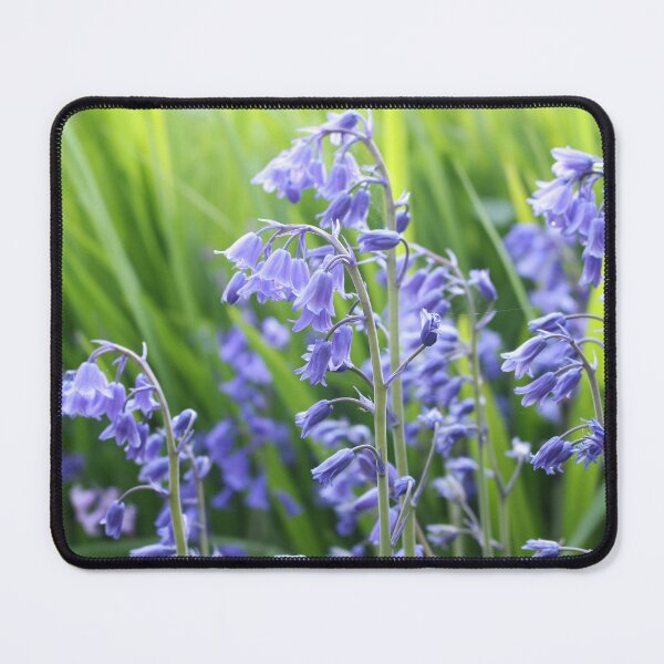 Item preview, Bluebells  designed and sold by pinkal.