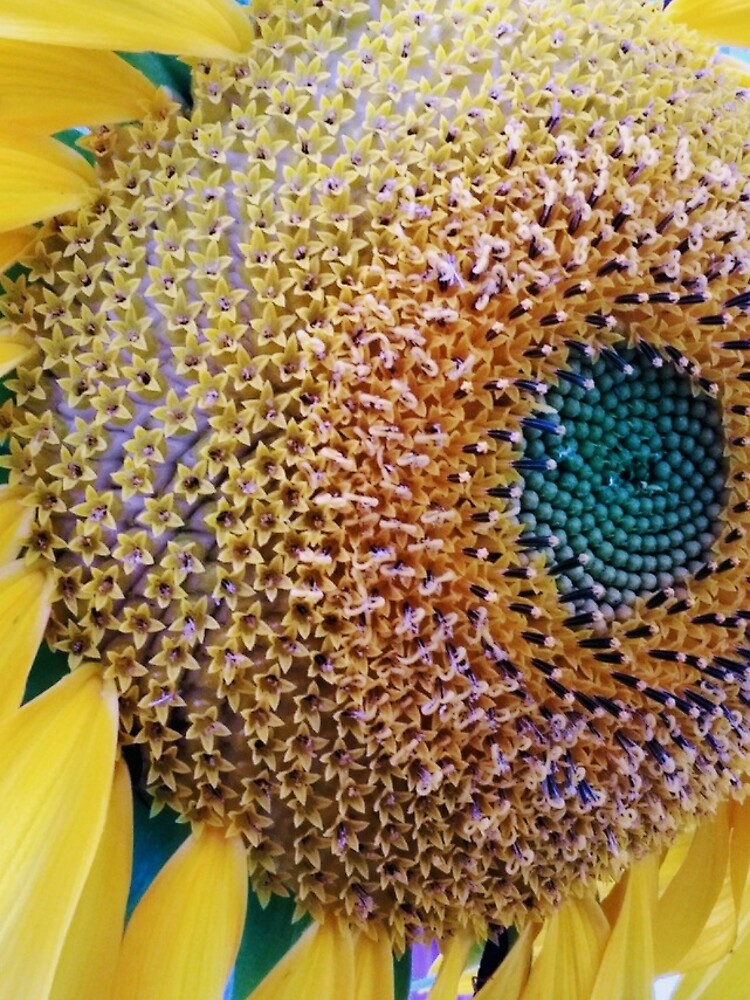 Thumbnail 4 of 4, iPhone Case, sunflower designed and sold by Roxiartwork.